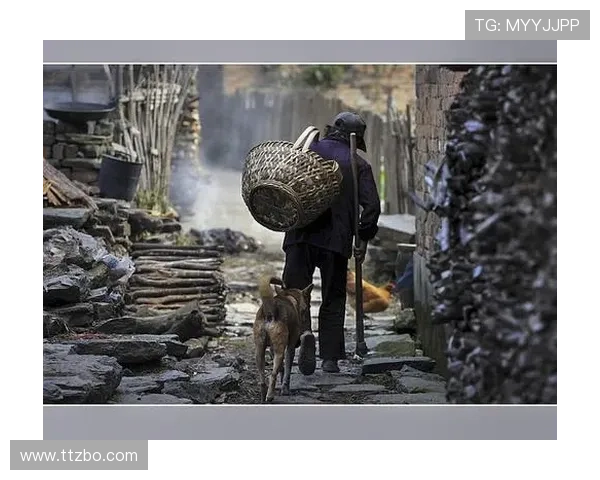 漂泊的叶，终归根：返乡战士的深情告白